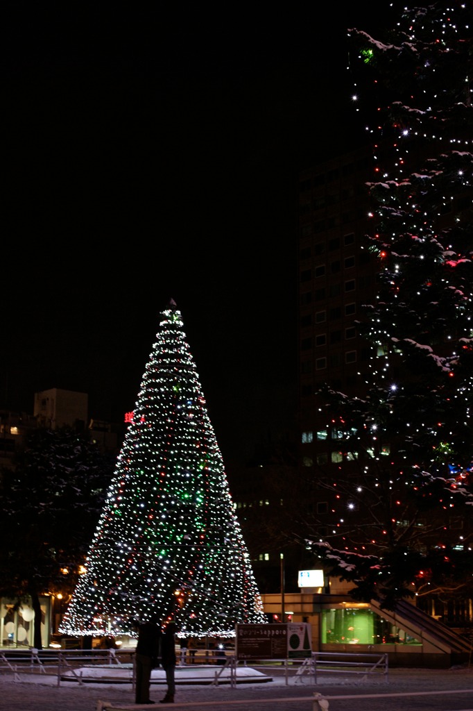 White Illumination 34