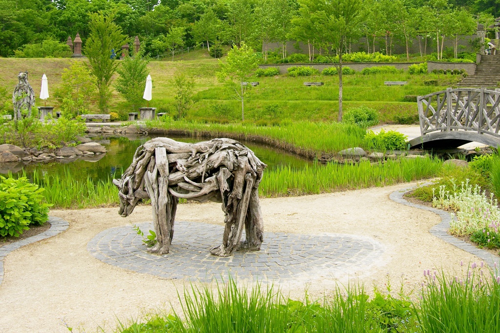 garden 008
