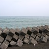 海の壁