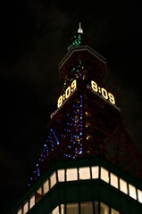 Sapporo TV tower 13