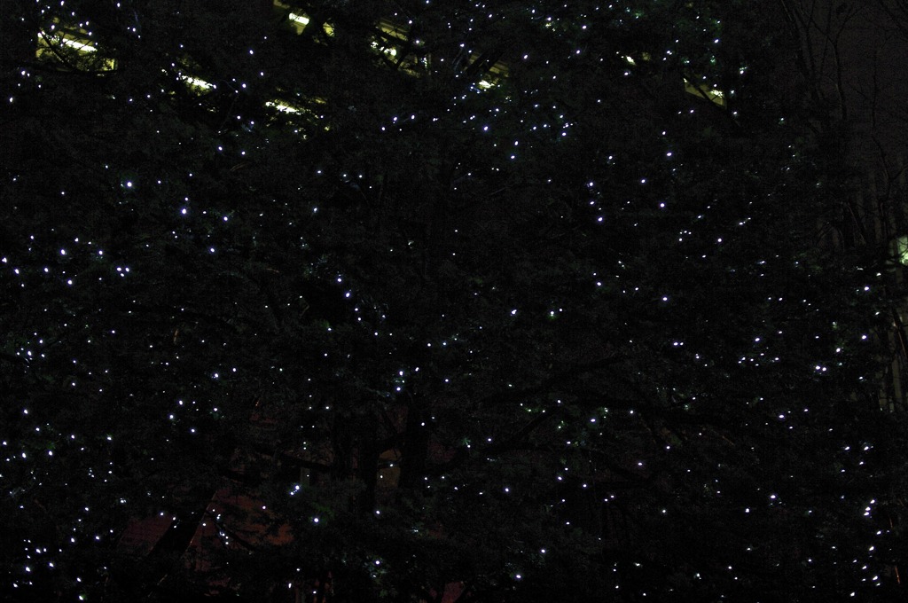 White Illumination 23