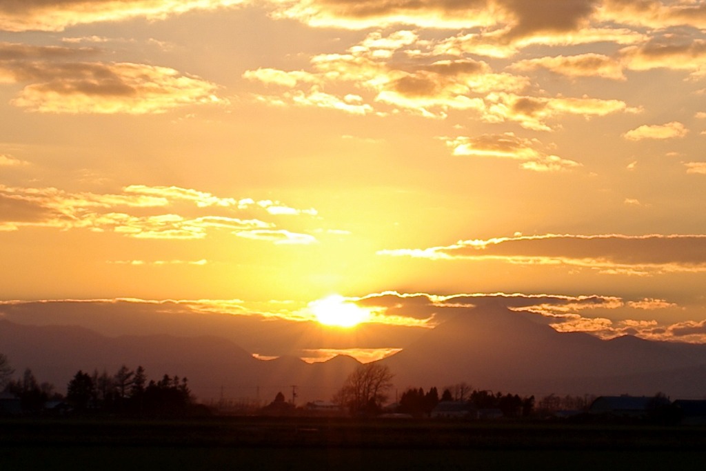 夕日3