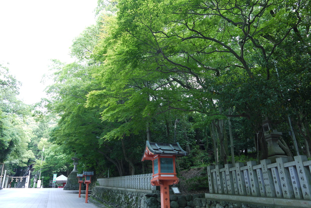 P1000122