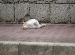 P1120396