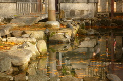 亀池