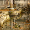 亀池