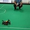 ヒト型ロボット