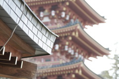高幡不動尊