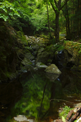 緑の窓口