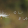 愛は花、君はその種
