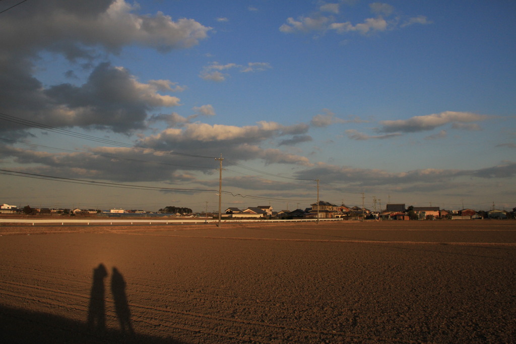 夕方の散歩