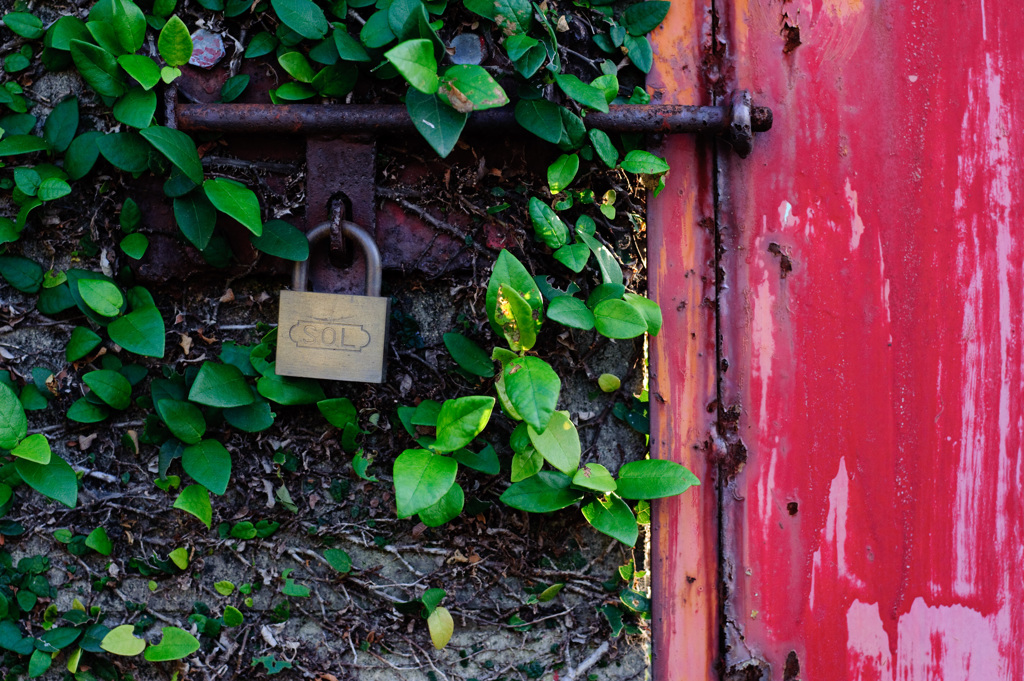 Hasselblad Carlzeiss C 80mm F2.8 T* 白胴