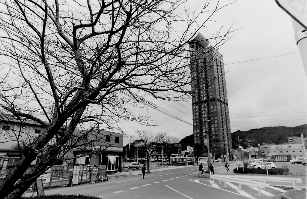 銀塩モノクロ　