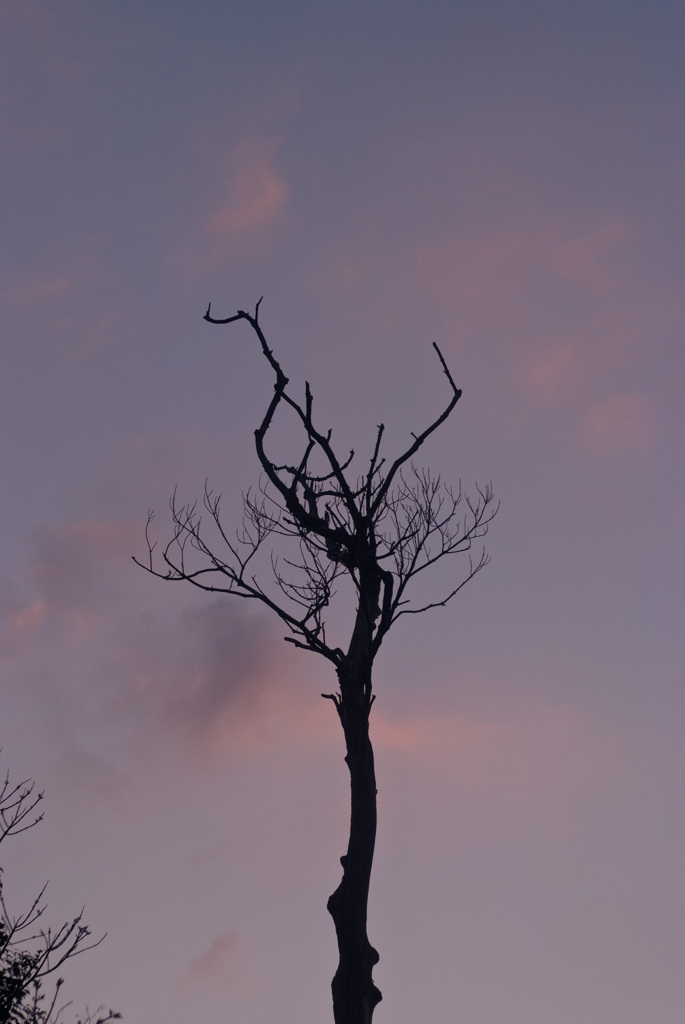 a scene