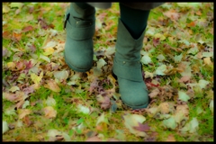 Autumn　Step　Sound