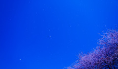 蒼い空高く・・・