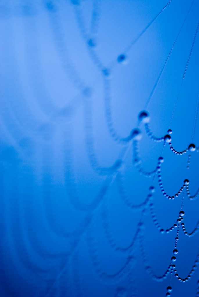 spider　drops
