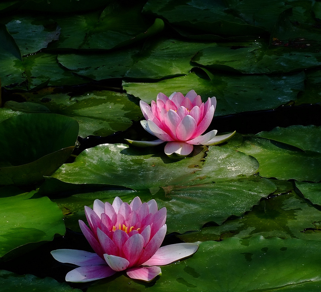 いい天気ですね。。