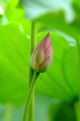 涼を求めて。。