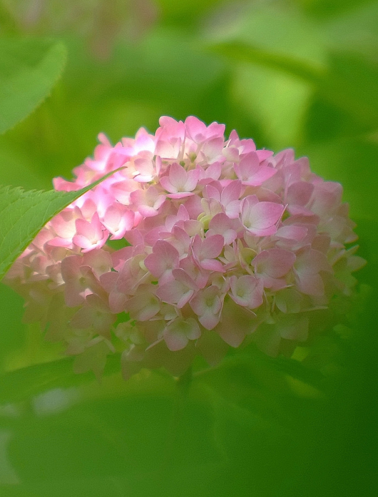 そろそろ季節ですが。。