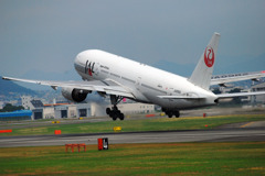永遠の「鶴」！