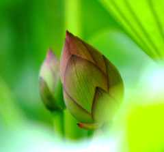 2010  出会い　１