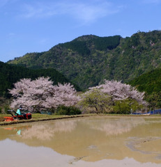 そろそろ田植えですね