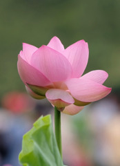 静寂　（最終章）