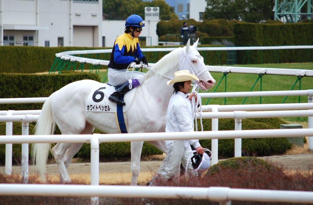 白馬の戦士