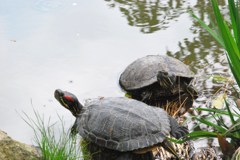 春の陽気に誘われて