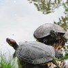 春の陽気に誘われて