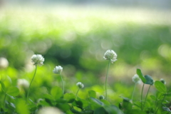 IMGP95351