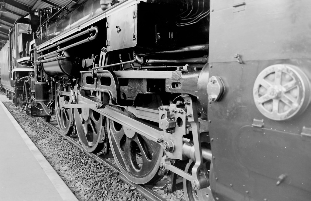 Ｃ５９１