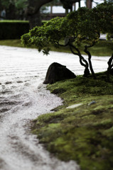 Niwa