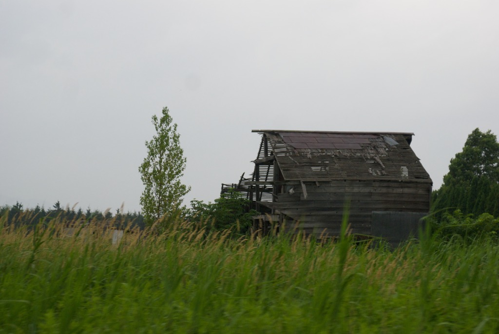 DSC03512
