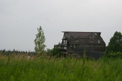 DSC03512