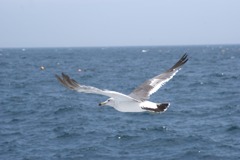 DSC04862