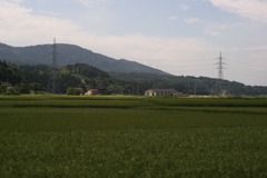 DSC05044