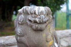 DSC04679