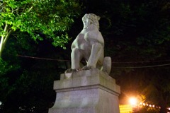 DSC03299