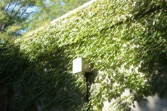 DSC07266