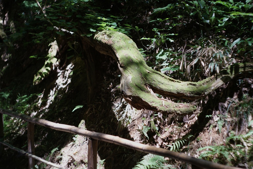 DSC05058
