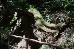 DSC05058
