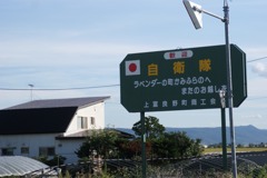 DSC06191