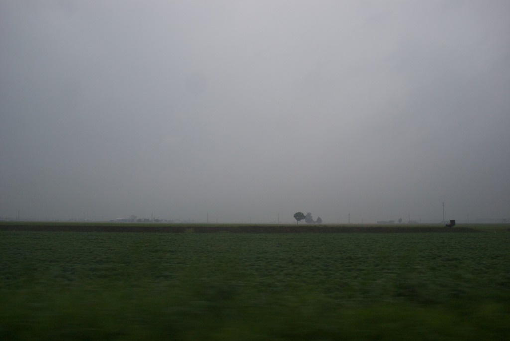 DSC03559