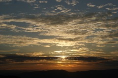 DSC06454
