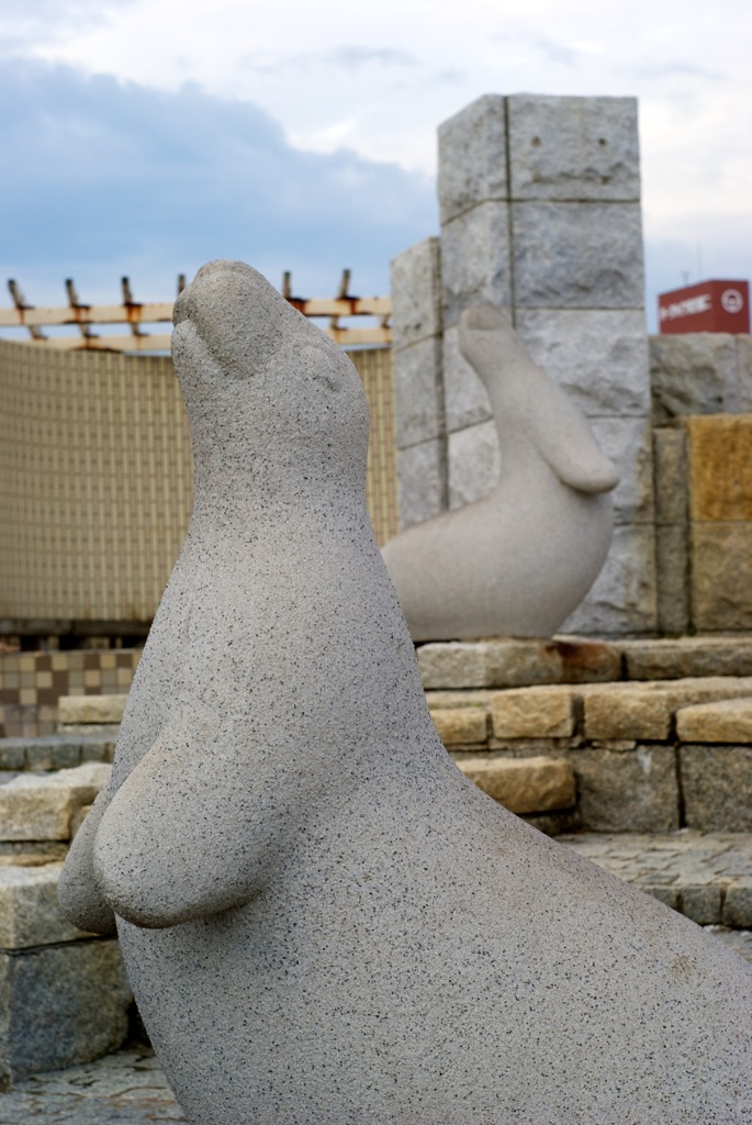 DSC04573