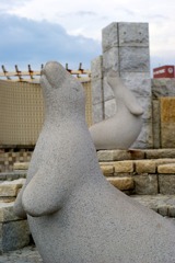 DSC04573