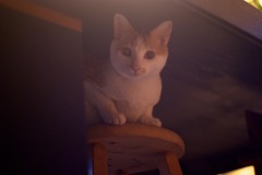 DSC00494