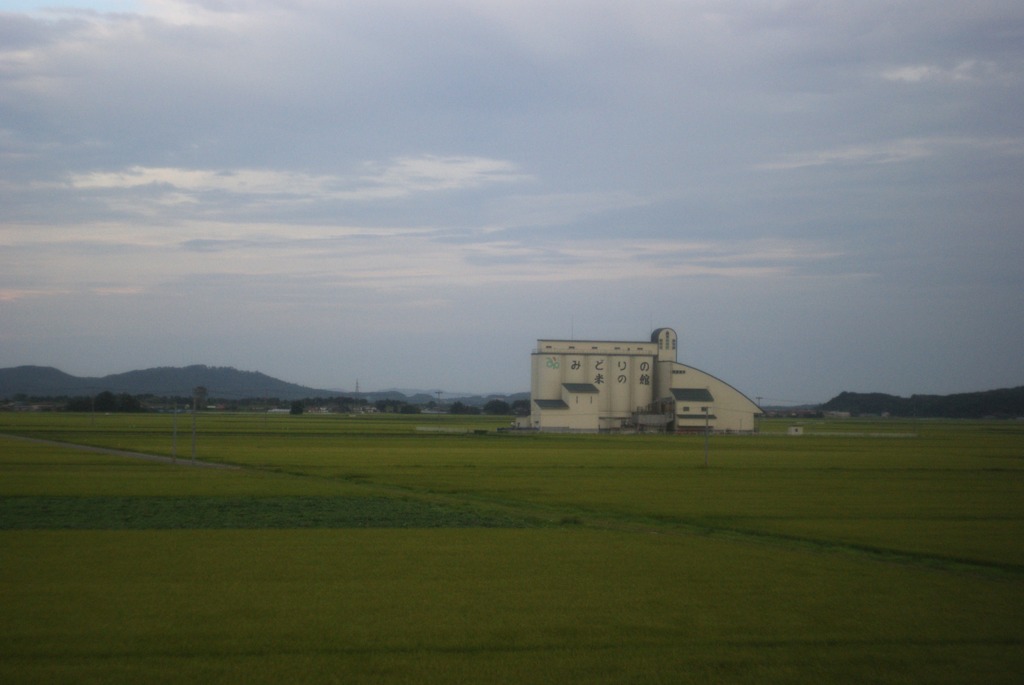 DSC05175